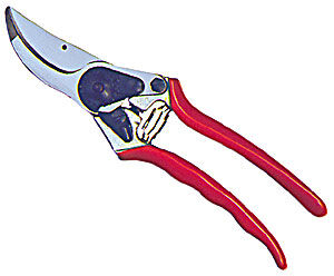 Sekatory