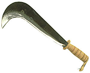 Tasaki