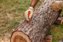 Kreda do zaznaczania 12 sztuki czerwony STIHL 0000-881-1501 - 2